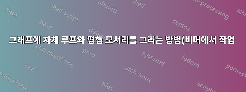 그래프에 자체 루프와 평행 모서리를 그리는 방법(비머에서 작업)