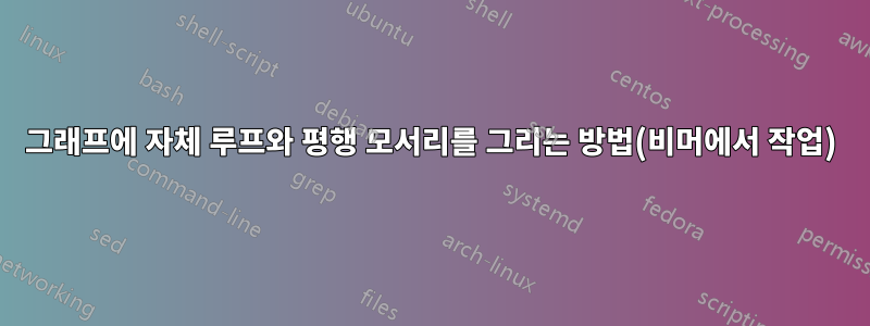 그래프에 자체 루프와 평행 모서리를 그리는 방법(비머에서 작업)