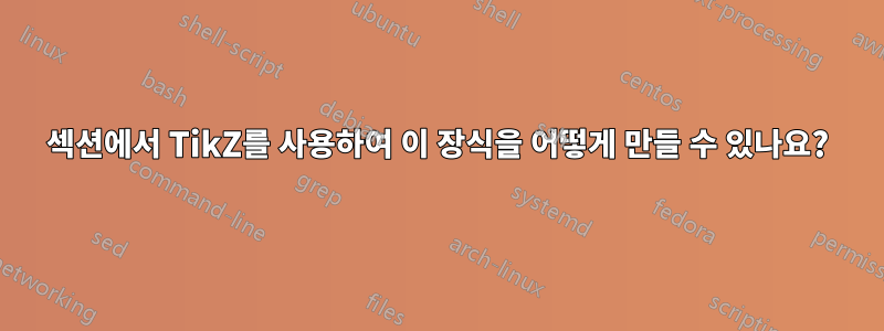 섹션에서 TikZ를 사용하여 이 장식을 어떻게 만들 수 있나요?
