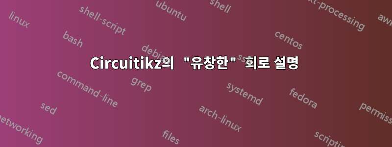 Circuitikz의 "유창한" 회로 설명