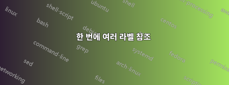 한 번에 여러 라벨 참조