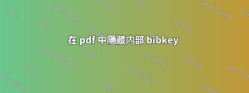 在 pdf 中隱藏內部 bibkey