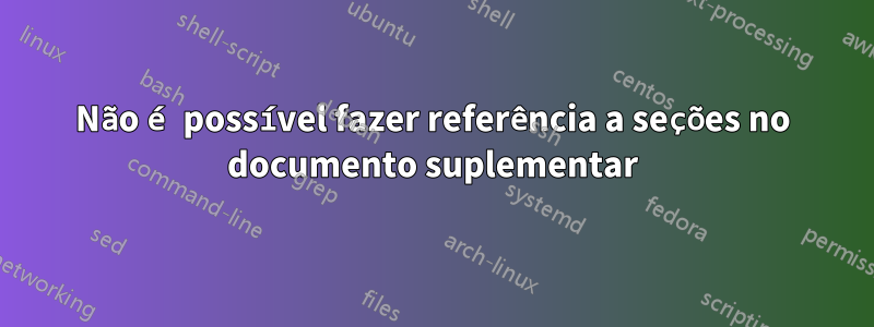 Não é possível fazer referência a seções no documento suplementar