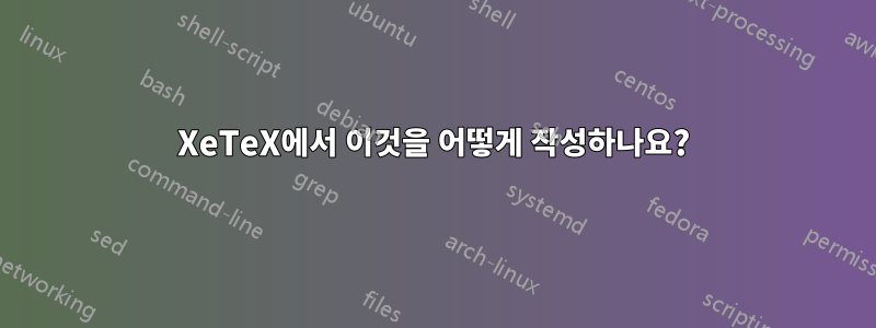 XeTeX에서 이것을 어떻게 작성하나요?