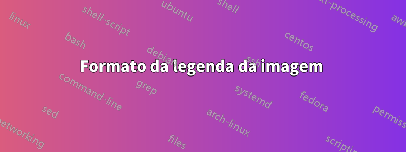 Formato da legenda da imagem