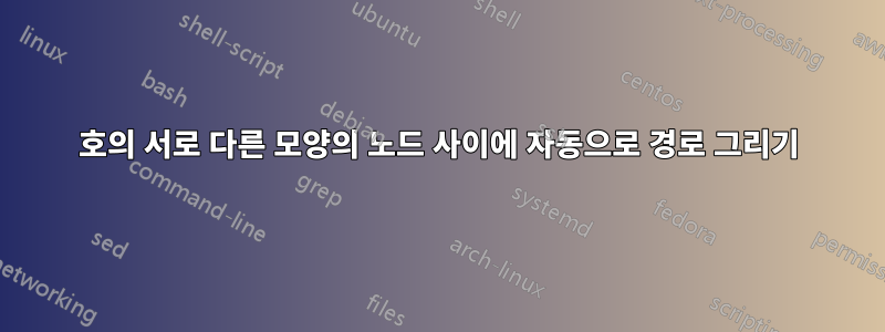 호의 서로 다른 모양의 노드 사이에 자동으로 경로 그리기