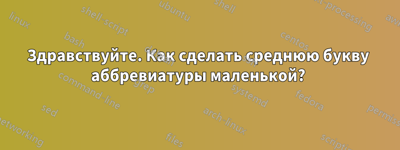 Здравствуйте. Как сделать среднюю букву аббревиатуры маленькой?