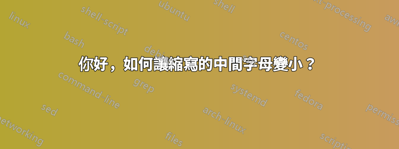 你好，如何讓縮寫的中間字母變小？