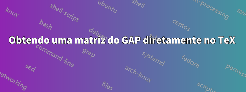 Obtendo uma matriz do GAP diretamente no TeX