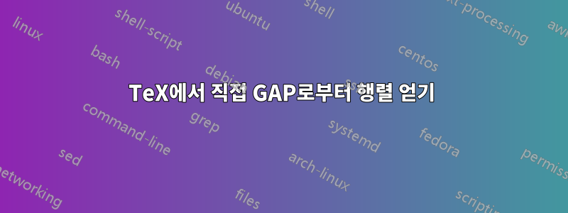 TeX에서 직접 GAP로부터 행렬 얻기