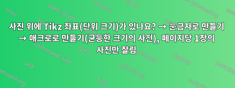 사진 위에 Tikz 좌표(단위 크기)가 있나요? → 눈금자로 만들기 → 매크로로 만들기(균등한 크기의 사진), 페이지당 1장의 사진만 잘림