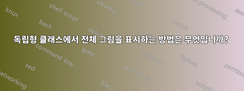 독립형 클래스에서 전체 그림을 표시하는 방법은 무엇입니까?