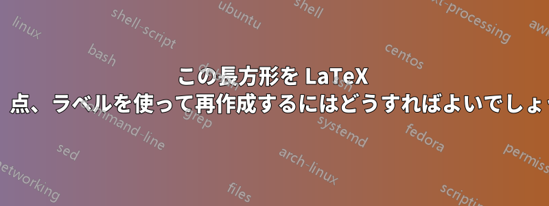 この長方形を LaTeX で線、点、ラベルを使って再作成するにはどうすればよいでしょうか?