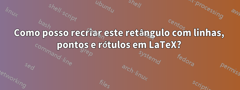 Como posso recriar este retângulo com linhas, pontos e rótulos em LaTeX?