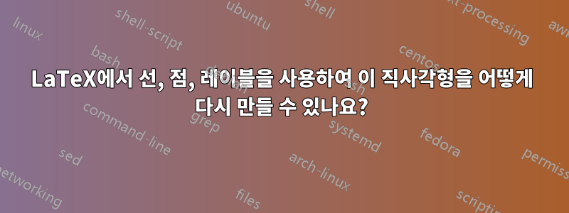 LaTeX에서 선, 점, 레이블을 사용하여 이 직사각형을 어떻게 다시 만들 수 있나요?