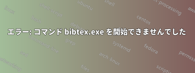 エラー: コマンド bibtex.exe を開始できませんでした