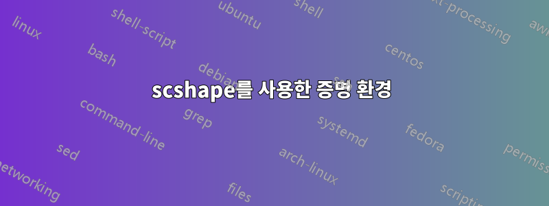 scshape를 사용한 증명 환경