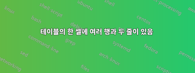 테이블의 한 셀에 여러 행과 두 줄이 있음