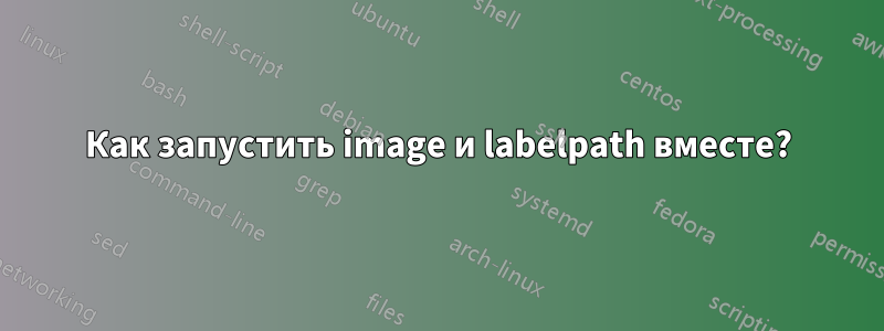 Как запустить image и labelpath вместе?