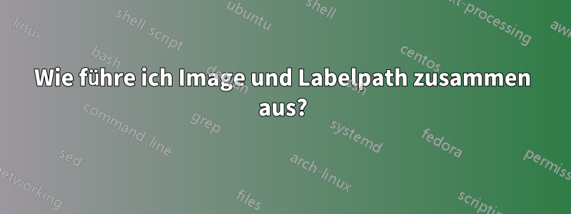 Wie führe ich Image und Labelpath zusammen aus?