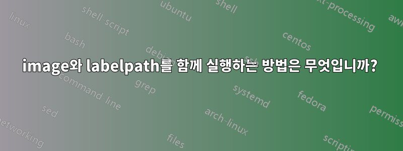 image와 labelpath를 함께 실행하는 방법은 무엇입니까?