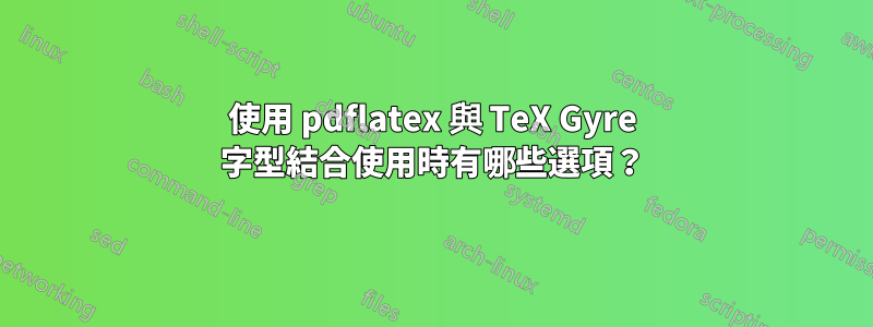 使用 pdflatex 與 TeX Gyre 字型結合使用時有哪些選項？