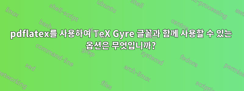 pdflatex를 사용하여 TeX Gyre 글꼴과 함께 사용할 수 있는 옵션은 무엇입니까?