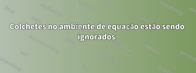 Colchetes no ambiente de equação estão sendo ignorados 