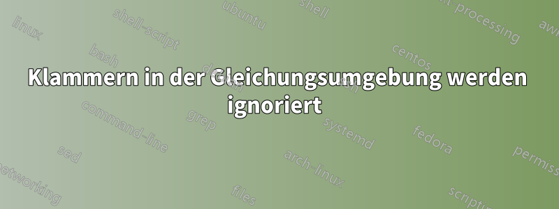 Klammern in der Gleichungsumgebung werden ignoriert 