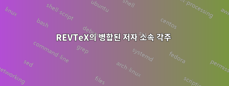 REVTeX의 병합된 저자 소속 각주