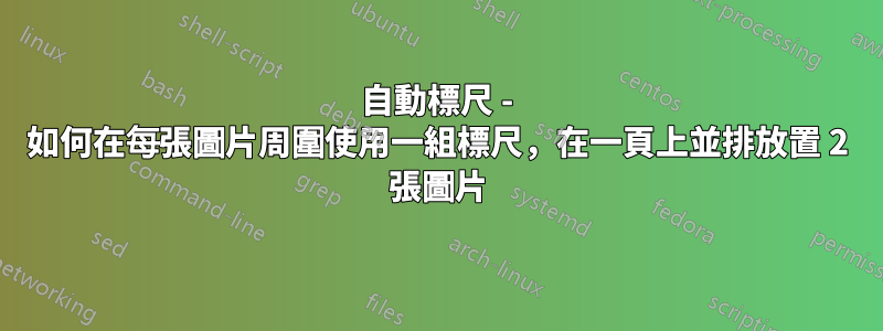 自動標尺 - 如何在每張圖片周圍使用一組標尺，在一頁上並排放置 2 張圖片