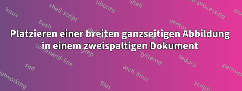 Platzieren einer breiten ganzseitigen Abbildung in einem zweispaltigen Dokument