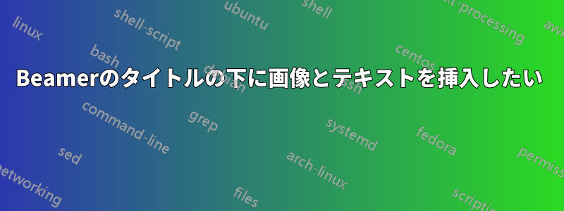 Beamerのタイトルの下に画像とテキストを挿入したい 