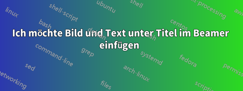 Ich möchte Bild und Text unter Titel im Beamer einfügen 