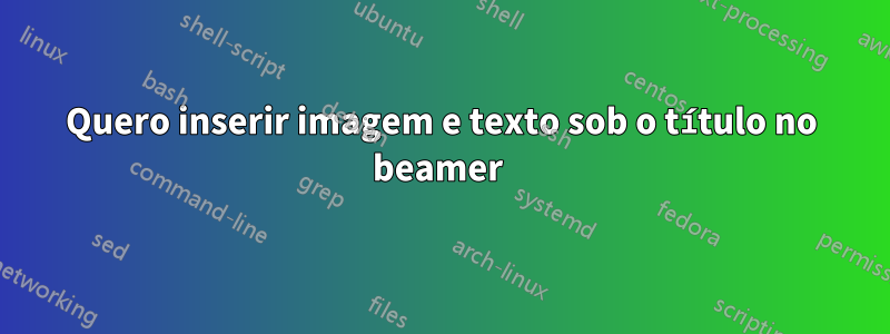 Quero inserir imagem e texto sob o título no beamer 