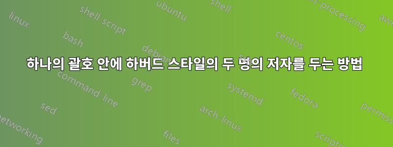 하나의 괄호 안에 하버드 스타일의 두 명의 저자를 두는 방법