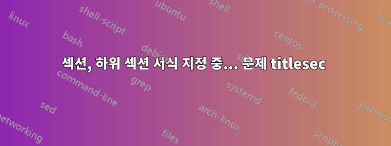섹션, 하위 섹션 서식 지정 중... 문제 titlesec
