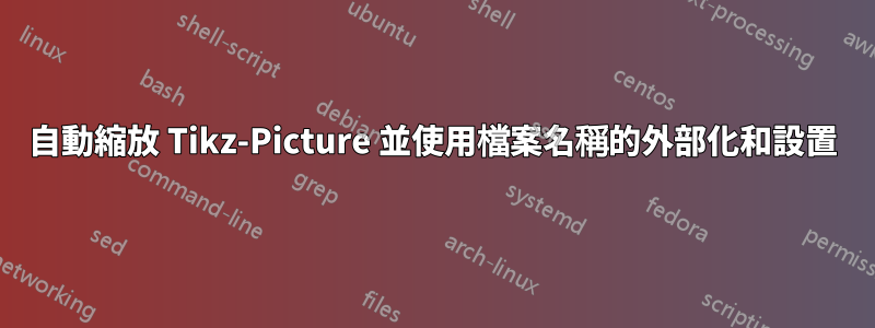 自動縮放 Tikz-Picture 並使用檔案名稱的外部化和設置