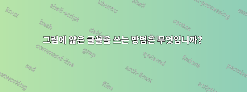 그림에 얇은 글꼴을 쓰는 방법은 무엇입니까?
