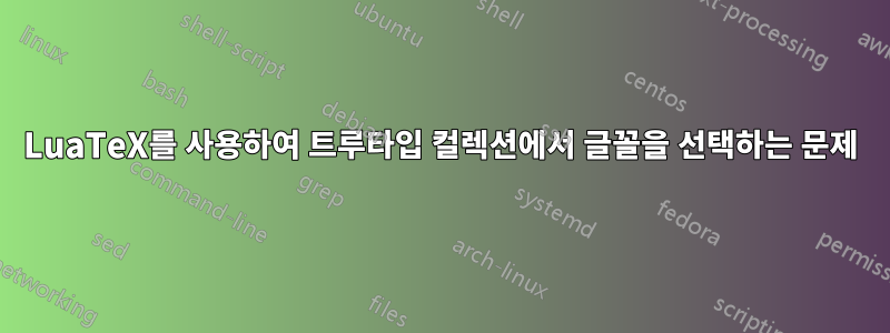LuaTeX를 사용하여 트루타입 컬렉션에서 글꼴을 선택하는 문제