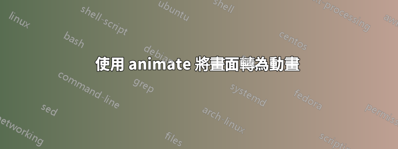 使用 animate 將畫面轉為動畫