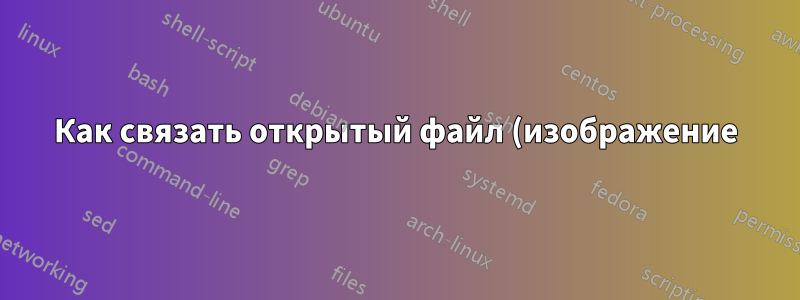 Как связать открытый файл (изображение) из документа Latex PDF с той же папкой?