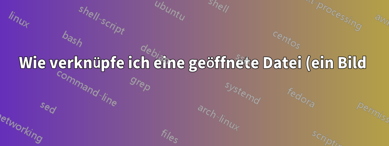 Wie verknüpfe ich eine geöffnete Datei (ein Bild) aus einem Latex-PDF-Dokument im selben Ordner?