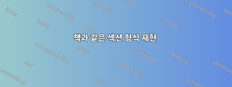 책과 같은 섹션 형식 재현