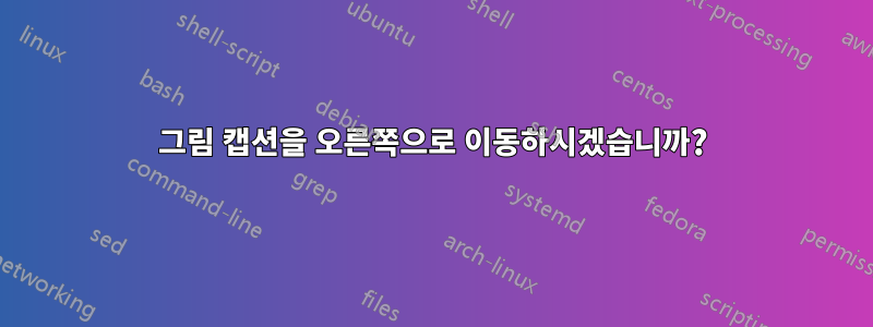그림 캡션을 오른쪽으로 이동하시겠습니까?