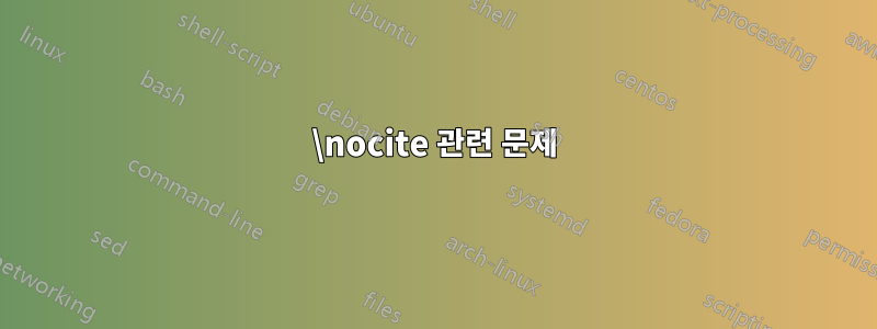 \nocite 관련 문제
