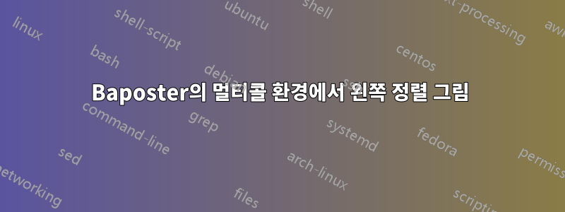 Baposter의 멀티콜 환경에서 왼쪽 정렬 그림