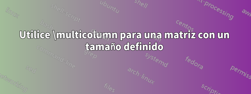 Utilice \multicolumn para una matriz con un tamaño definido