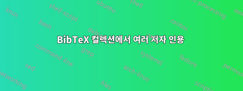BibTeX 컬렉션에서 여러 저자 인용