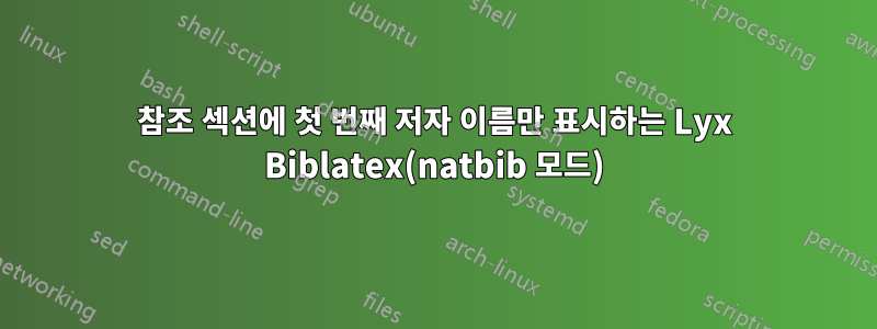 참조 섹션에 첫 번째 저자 이름만 표시하는 Lyx Biblatex(natbib 모드)